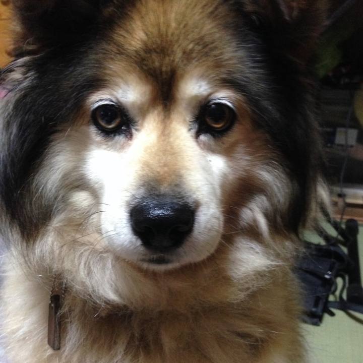 C734a9f9 4924 4e15 94a4 be655cd399bd 1563522740052