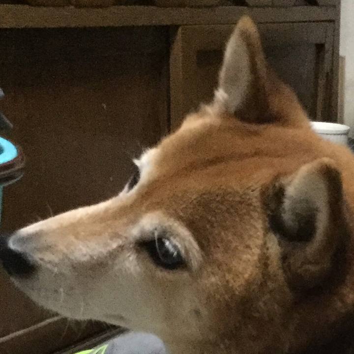 C734c20e 1881 4fd8 be91 212681e7b39d 1614501281517