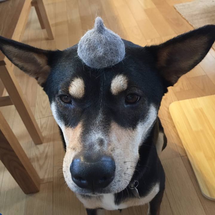 C734ca33 4d94 4338 b656 d581bcf61016 1527682514419