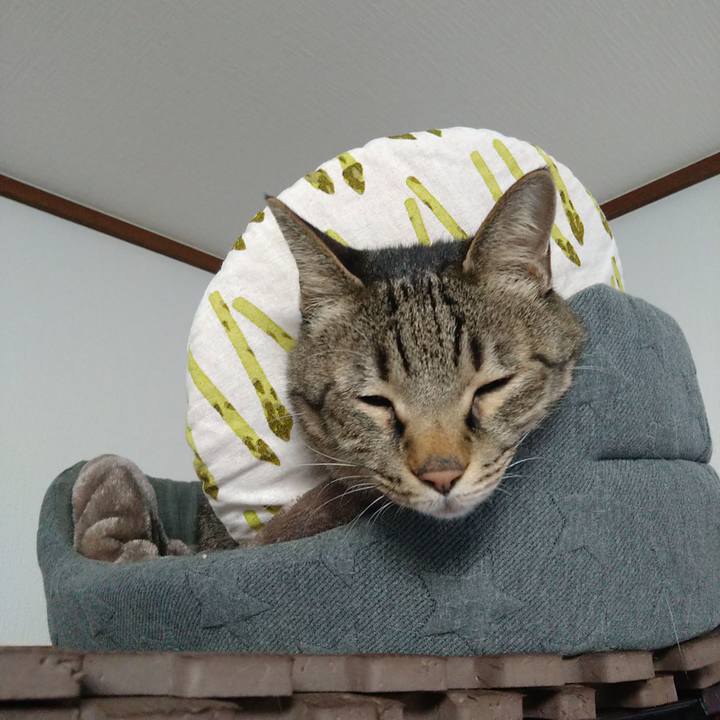 C734d6b5 781e 4c60 9635 97305814b8c4 1732008528105