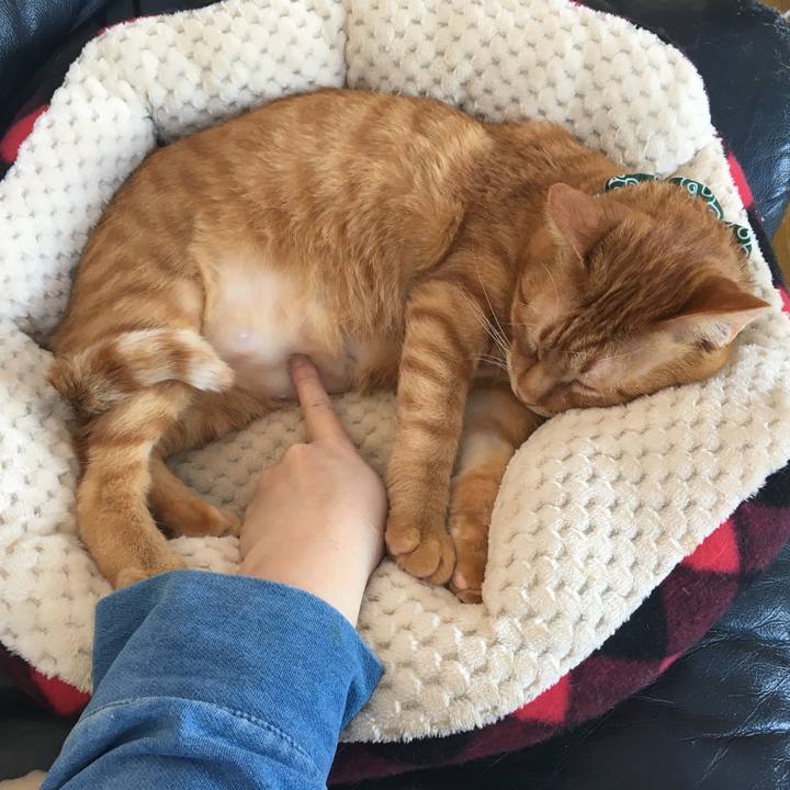 C734fddc 98b1 4050 a1bc 51ad194377d8 1547439282540