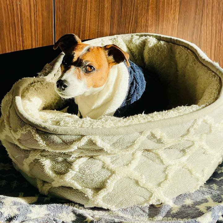 C7351141 a6dc 4e4f 94c9 3baa51a87ab9 1739520841525