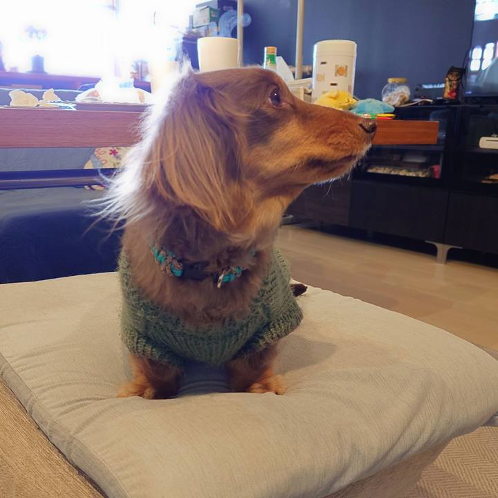 C7351dcc f9d6 4a4f b842 de30cbc9c7ec 1738990476214