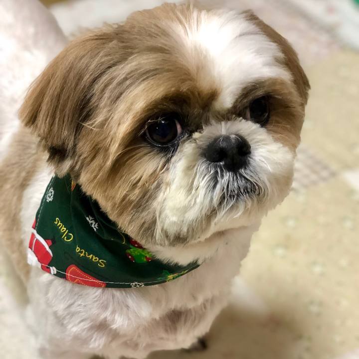 C7355a73 a04c 4c46 9429 51f5c1985ec2 1544521879436