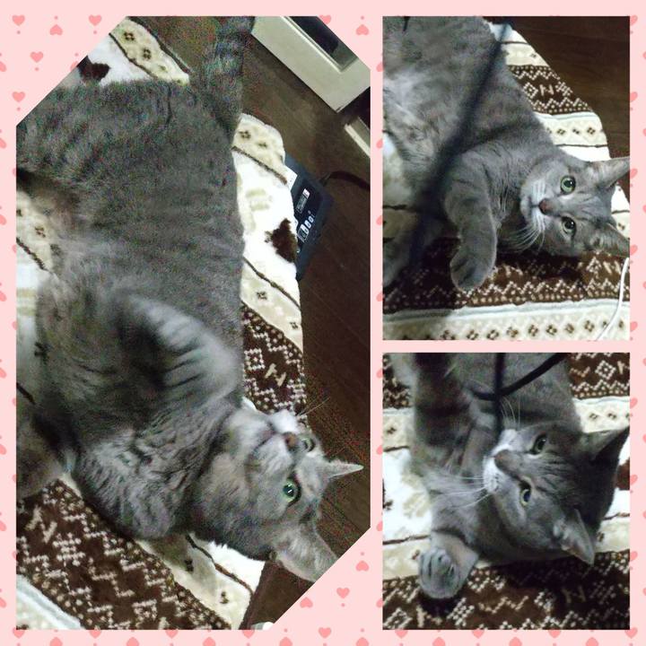 C7357fac f62e 48c8 8199 96fdb47acb71 1667911630863