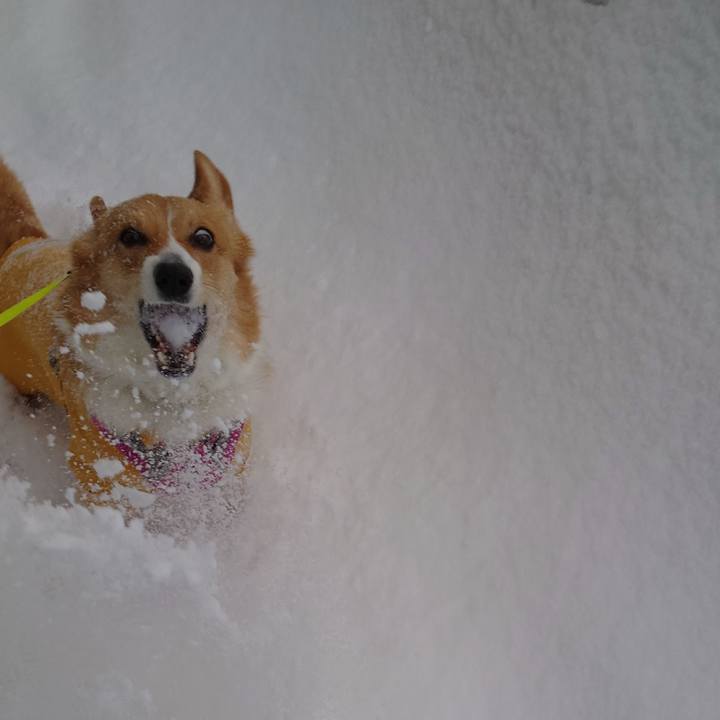 C73587d8 fb30 4ad4 88c9 88a4b9f9a981 1773100051121