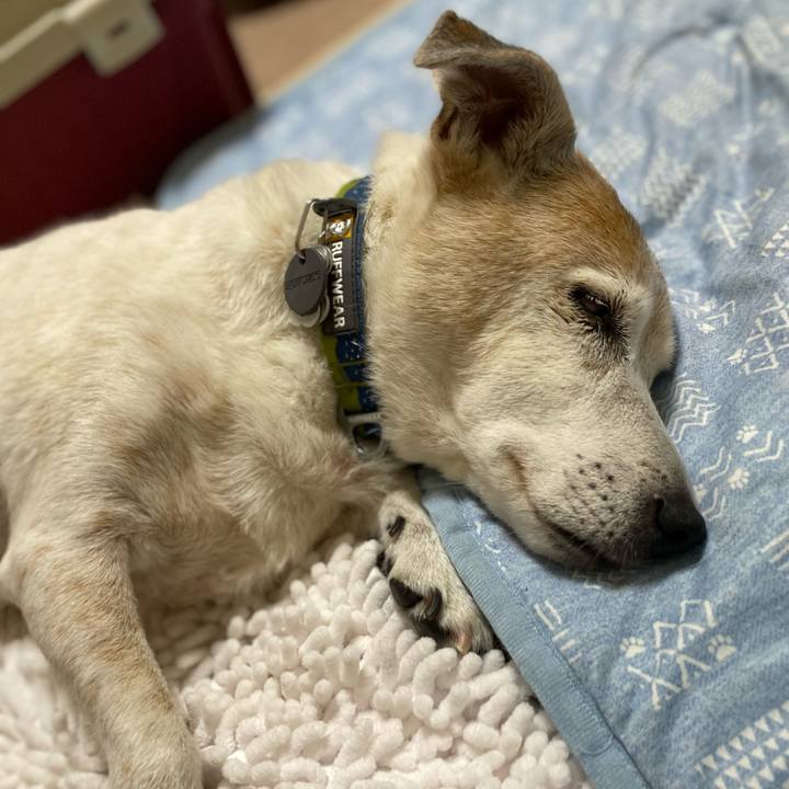 C735c2a8 86cd 4b24 9050 1c68036e8e08 1689689303883