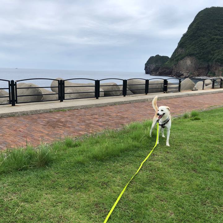 C735f82b 2167 45a6 bddf d5e1d2db00c5 1624577497886