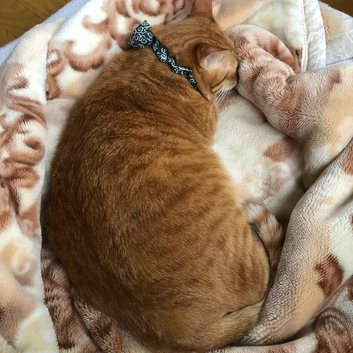 C735fa32 5e21 41fa 80f3 e40a14f69d0c 1556656828914