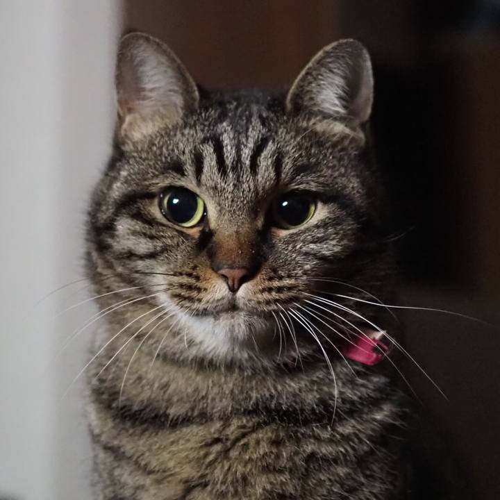 C735faf4 077c 4dd5 ac46 32b83c4c8c36 1607785456545