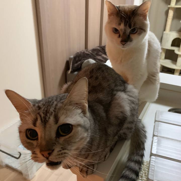 C7360be8 9084 451f afe5 3922f5fb789b 1559733300634