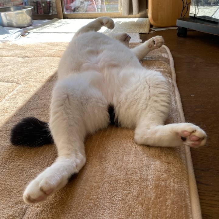 C7362e59 0a30 419d 816f 8cd0c33bf344 1573177286783