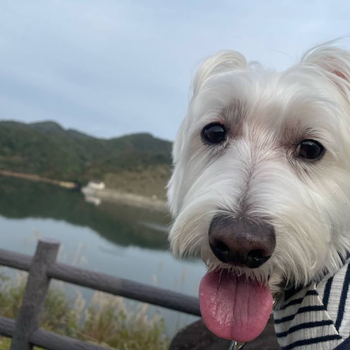 C736404a ea68 4646 a110 d7bbe10194db 1731295934156