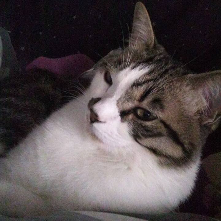 C7367e6d bf99 4948 a7df 89d57abb9db8 1648449589879