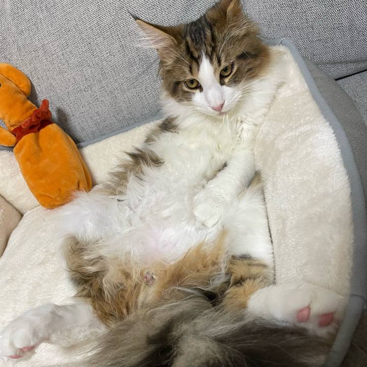 C736be22 8151 484d 8ed6 0fafae1641e1 1638095436894