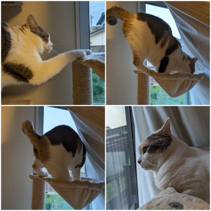 C736fcec 5bf7 4b4b a6cd e81878819d91 1710129026720