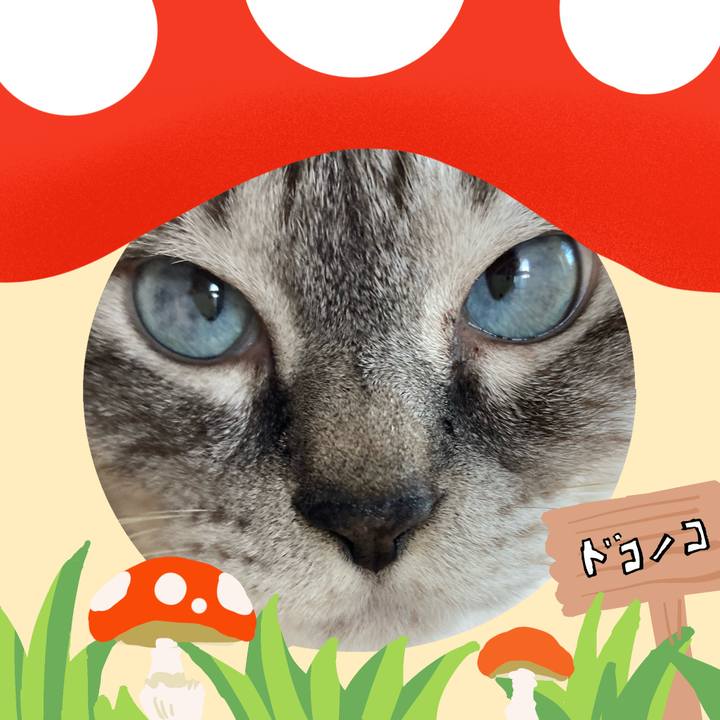 C73717d9 1004 4ff9 bfd5 6e4699fd0777 1729059838239