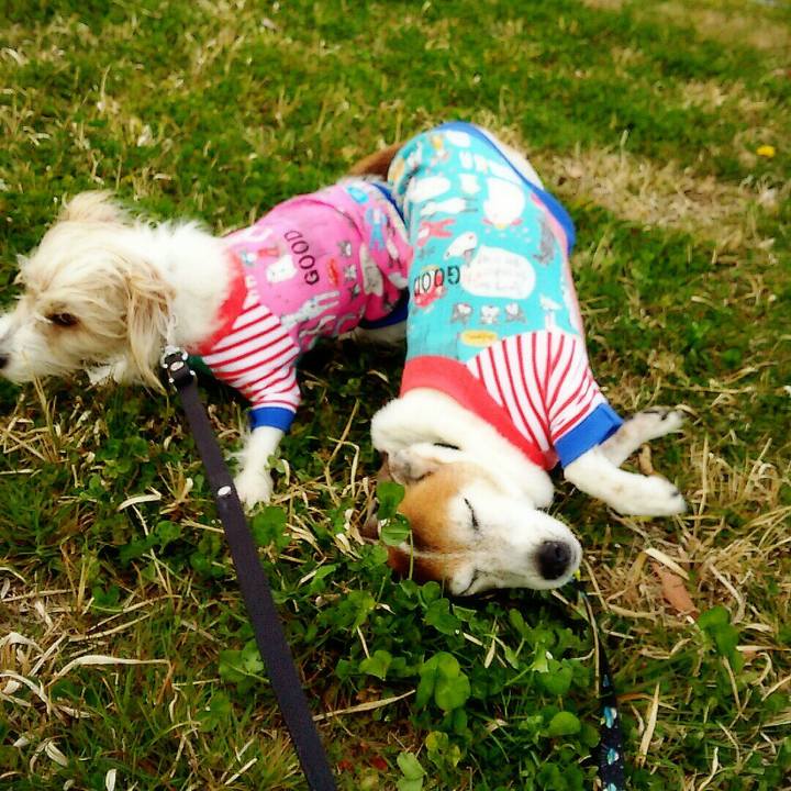 C7373d9c 2ff8 4ed0 a1f7 6ec91c4d5555 1521377120221