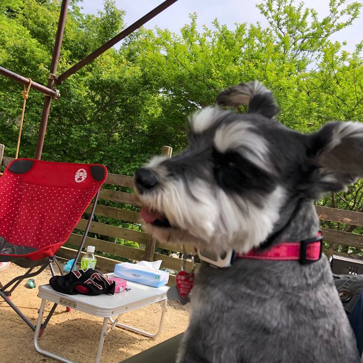 C737463d e480 4ed4 8b56 83401c095fa2 1683286241212