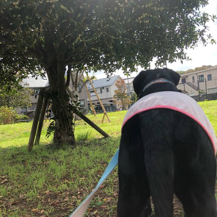 C73761b2 c1c7 4856 a446 8ba8299e6bfd 1539178643172