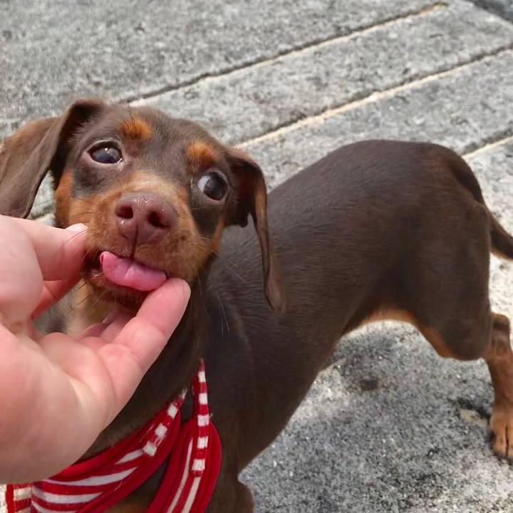 C7377a85 f94d 4c71 bb75 dd1154f4bdf3 1522640077290