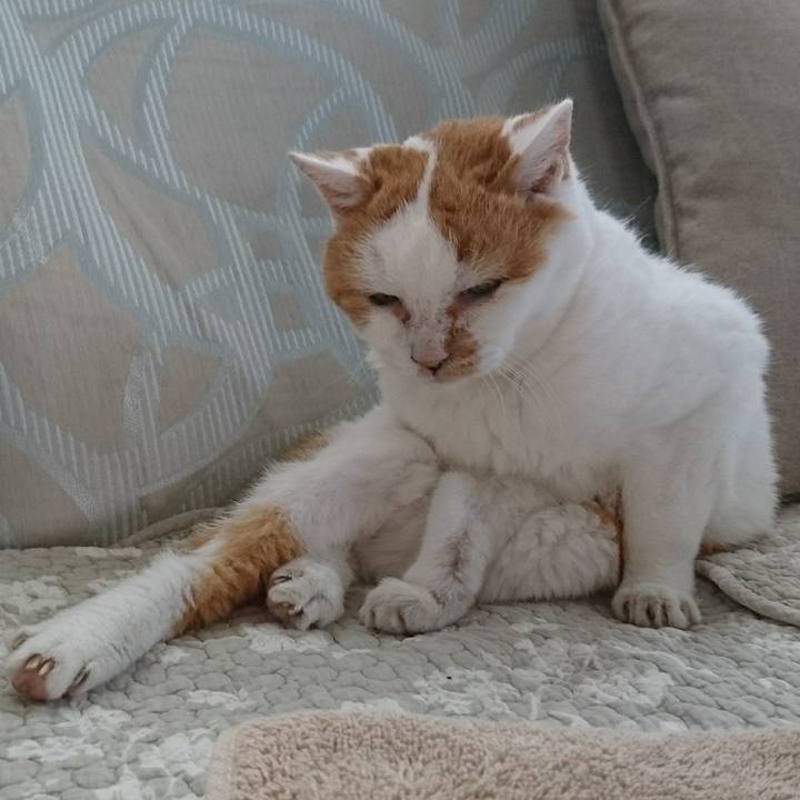 C73782e3 228d 4603 8671 9e600f4d9540 1566102810906