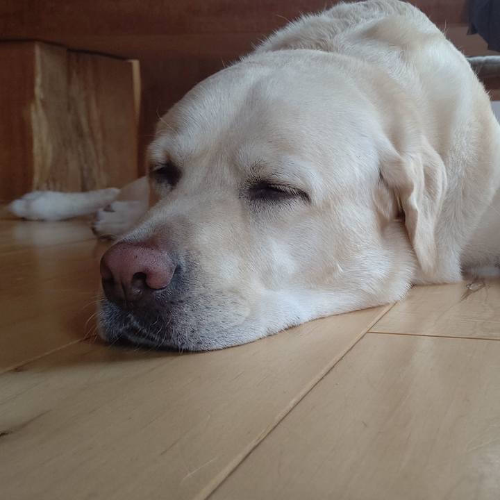 C73798a2 b01c 4428 8509 2aea83a91137 1627191622720