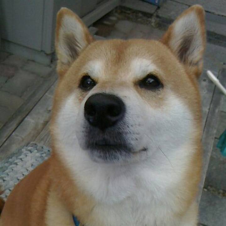 C737a97d 6de2 4112 b904 bb5a5d420cd4 1580620339831