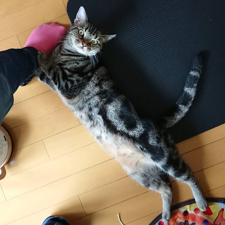 C737d3d9 d46c 490c 807f f1489d92a666 1528764647849