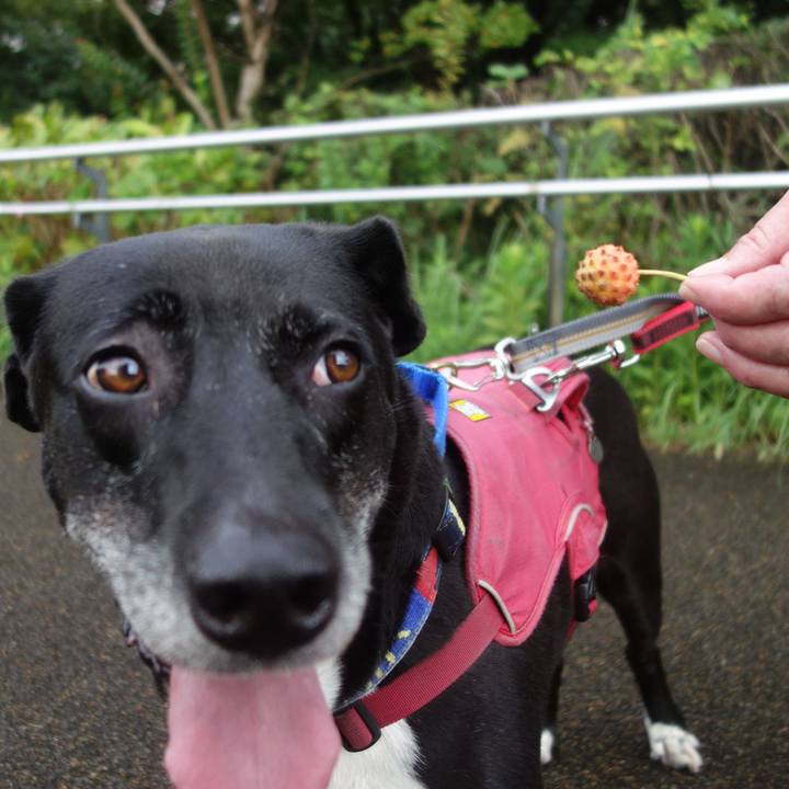 C737d89c 762c 4364 b002 e59e1ebe9882 1692748724386