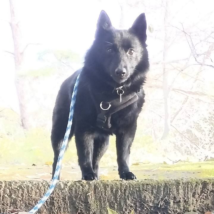 C737d8c5 2c99 4698 a5eb bad2ecfa57b7 1711490514320