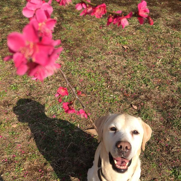 C737d962 20e8 4af3 9f41 034a4d43de4d 1551785843579