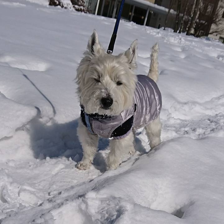 C737eea3 9c0b 45f8 bc1d 9bd0c10d8a3d 1520516204352