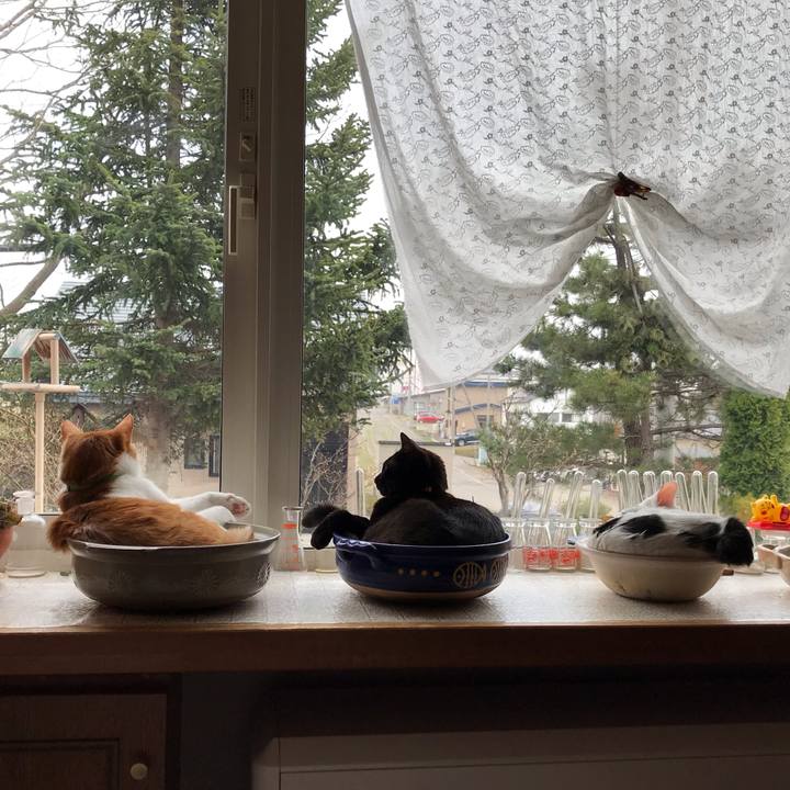 C738037a 3bad 44aa b54b cbe3ec14b9c4 1588488863402