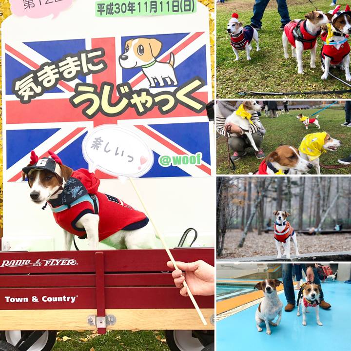 C7380add 8cef 4da3 a04c d8202c064291 1542106869770