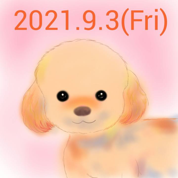 C7384729 b6be 456c 9e3d 45266c0e05cf 1630671674334