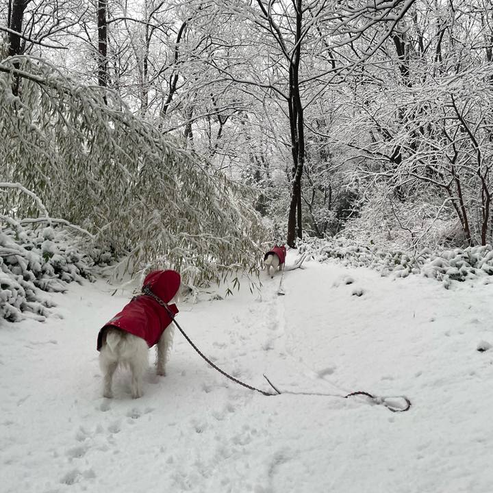 C7387fea 32cf 4d83 81af 1a659188ff09 1703112914518