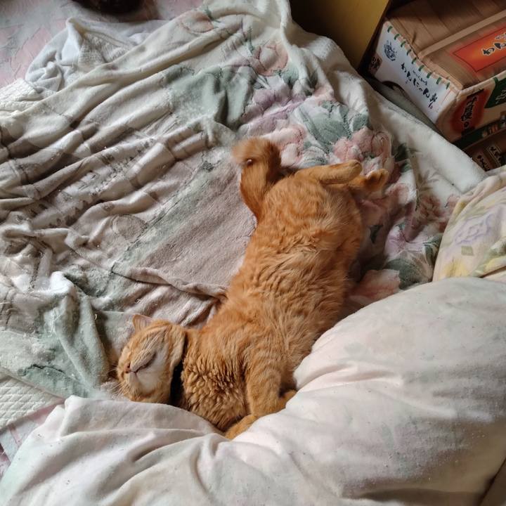 C7388964 b473 402c a68c 2389b174ef07 1695349203395