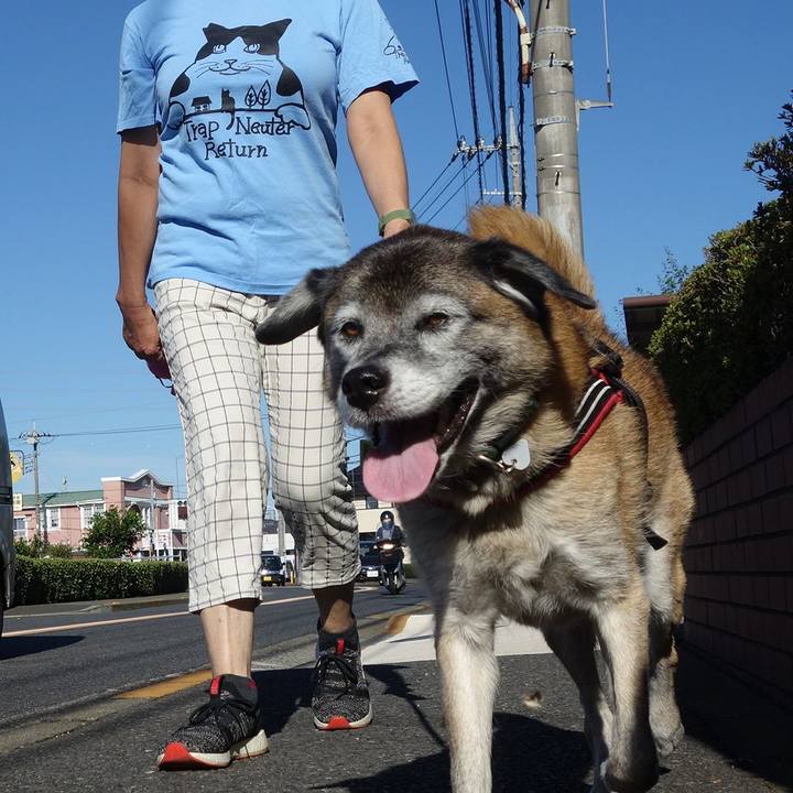 C738ce95 8736 426c b960 d816232f4b85 1570234865484