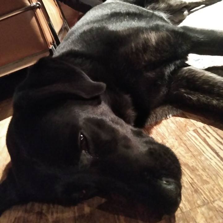 C738e228 777d 4480 85c3 fec43962be5e 1573128877814