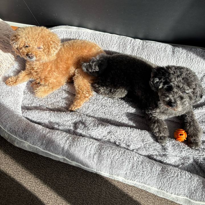 C7393568 57e9 4439 bfaf 0dcf058b3604 1763823556041