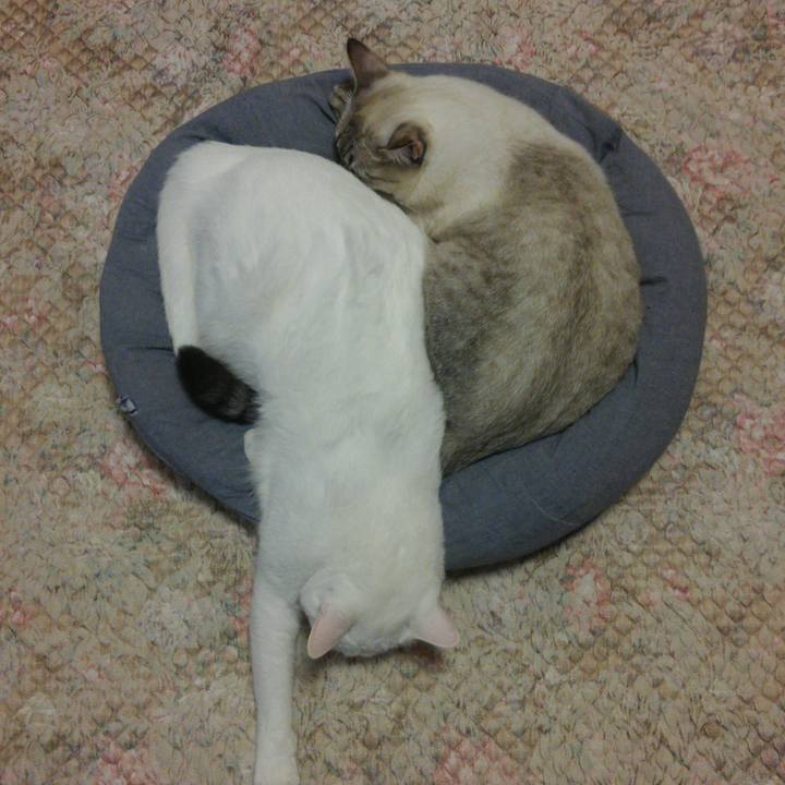 C73960f9 74d7 401e b1f0 eeb1f046f2dc 1509795253761