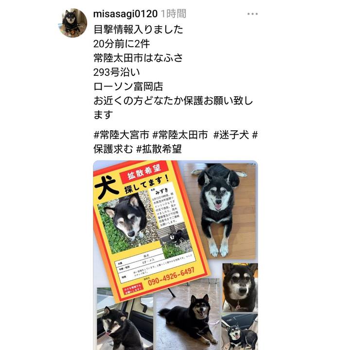 C7398b31 f24c 4338 a995 32042e38086e 1760004474580