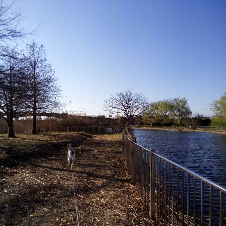 C7398fba 7848 4f86 9f91 a7ee5603f631 1520325792879