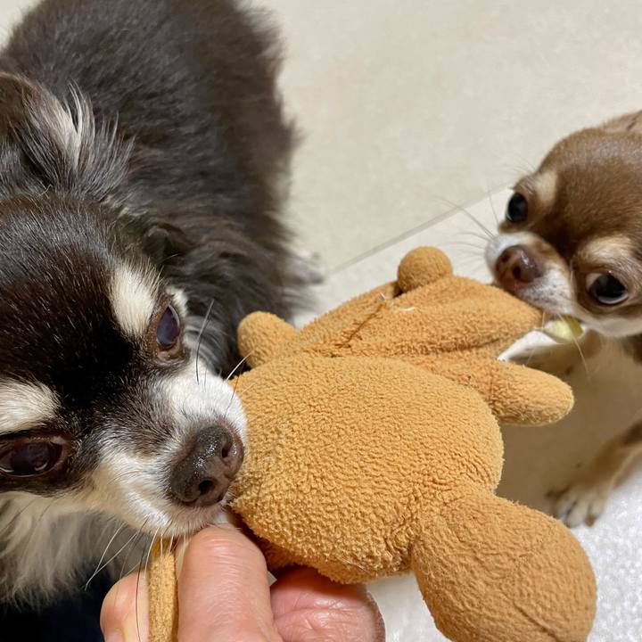 C73999fb e8e2 4a82 ae67 792c47915409 1676465769508