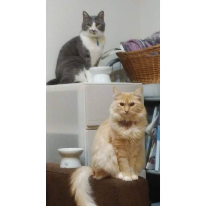 C73a02af 2b06 4d40 aefd 1ed7259a7592 1642677398806