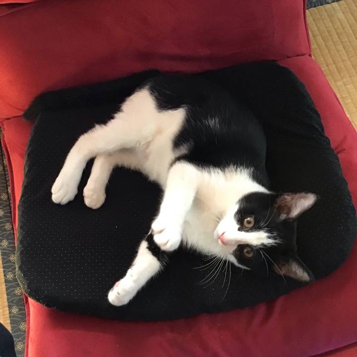 C73a45c2 0f96 473c 911e 1a649d91d40c 1628132539161