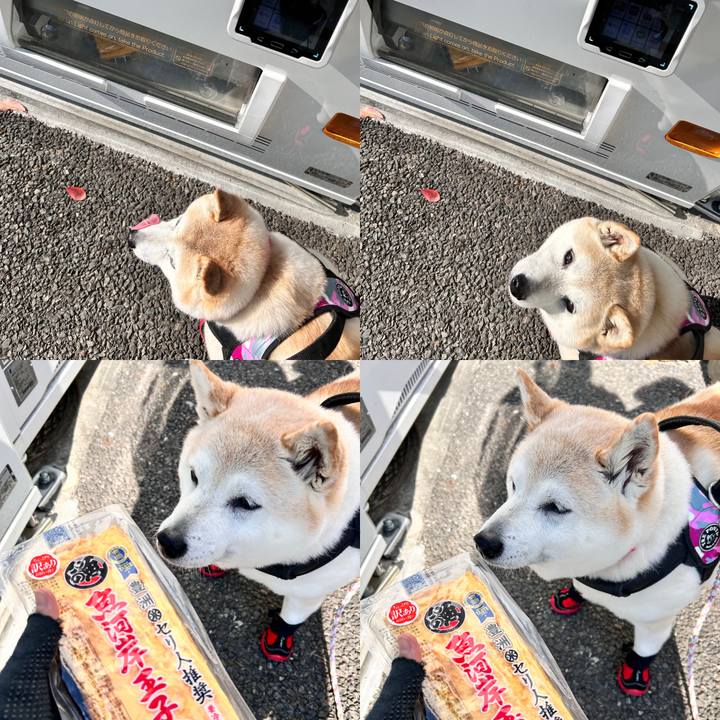 C73a82f1 a580 4124 8a8a 2a67cb82fb15 1738130307805