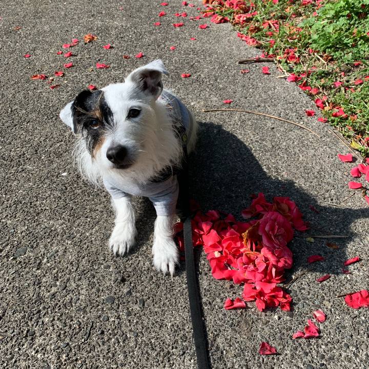 C73aa0c2 e2e5 4905 b437 49a3d61ac474 1679444872687