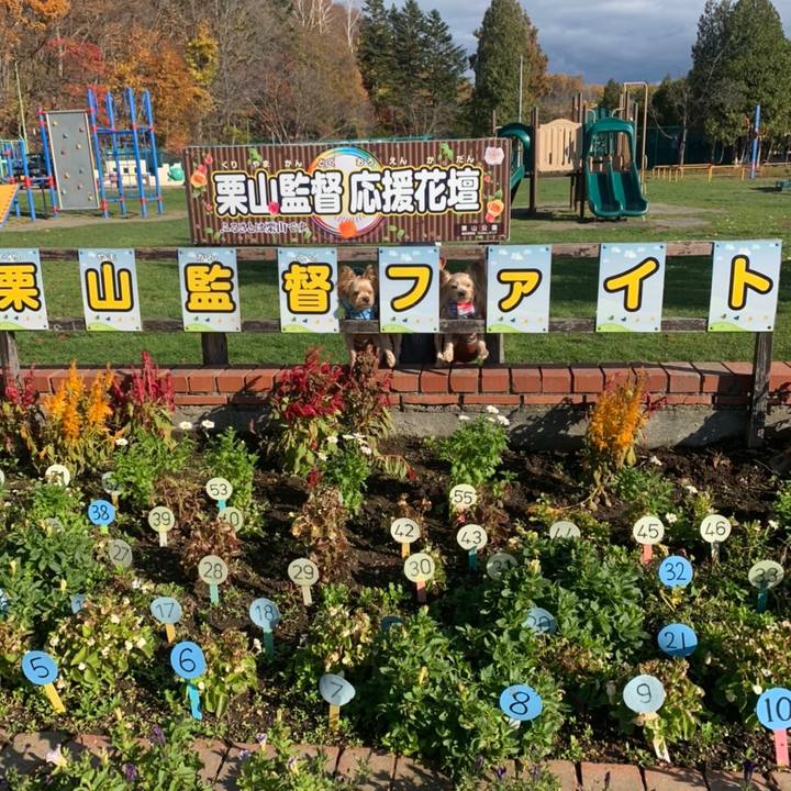 C73aa260 091c 434e b020 3fff7712cfec 1636363359260